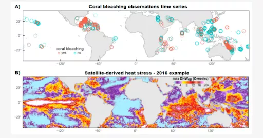 Image of The distribution of coral bleaching survey records based on estimates of percentage coral bleaching, and a world map of maximum levels of heat stress reached in 2016