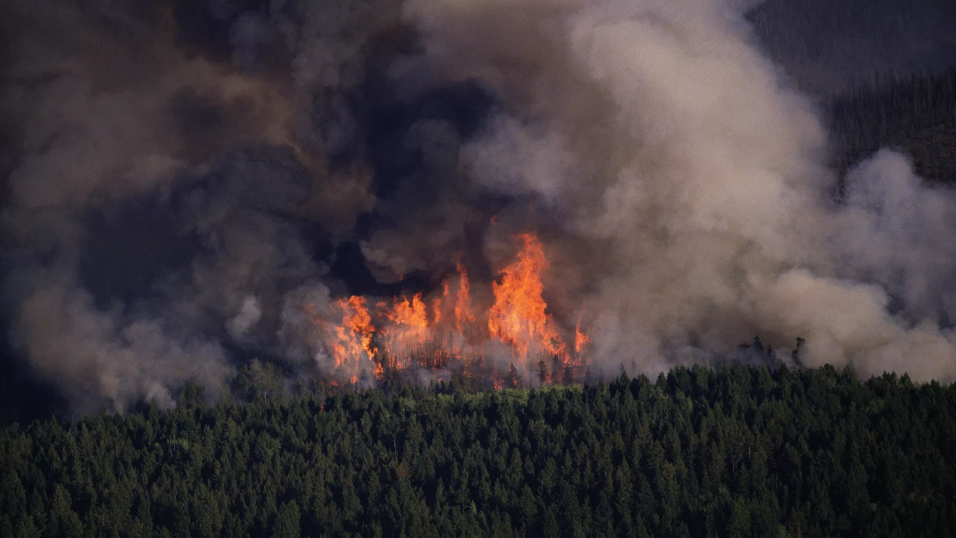 Image of forest fires.