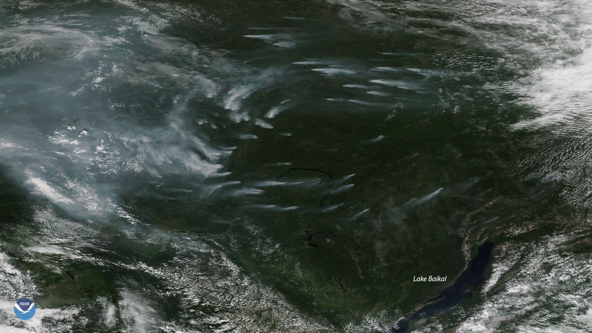 Dozens of Wildfires Burn Across Eastern Russia