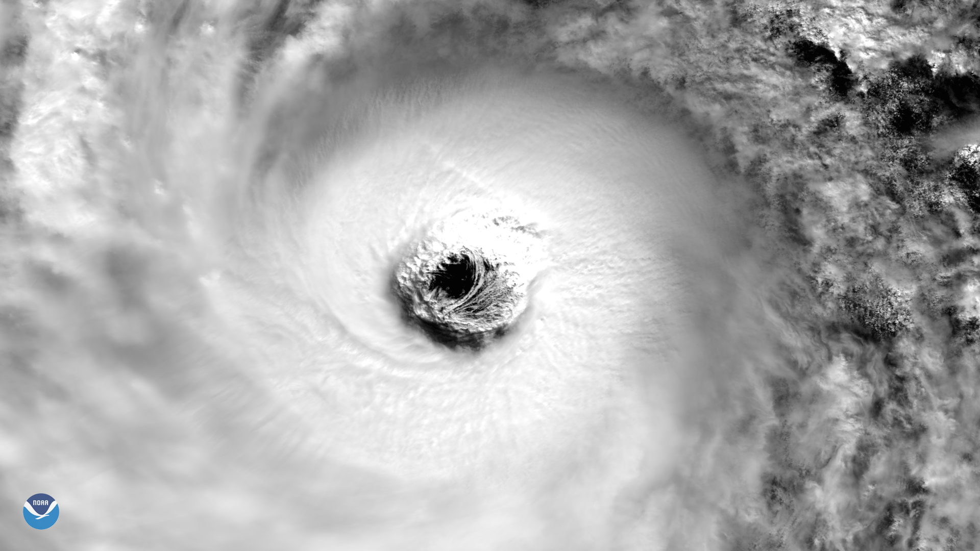 Super Typhoon Lan's Large Eye