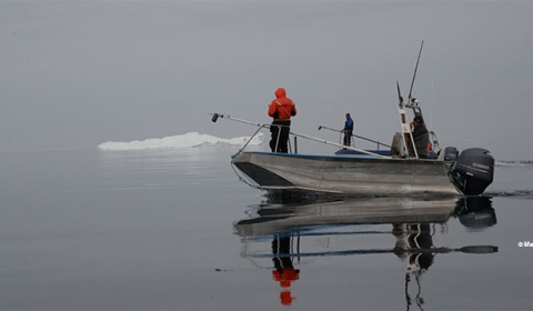 Image of a boat in the ocean