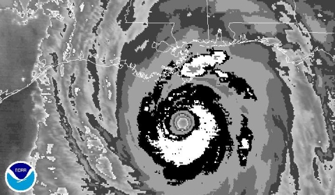 Image of Katrina