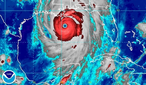 Image of Katrina