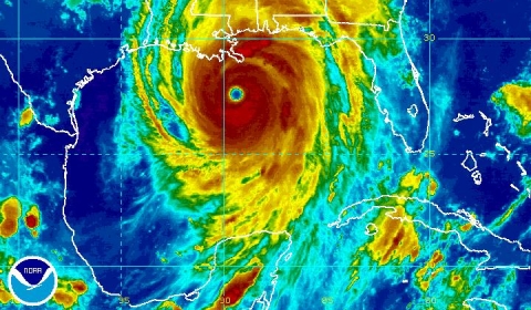 Image of Katrina
