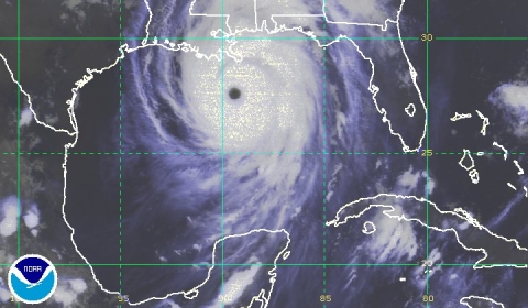 Image of Katrina