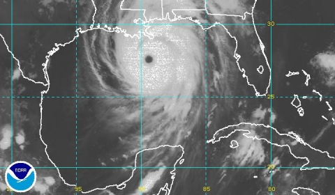 Image of Katrina