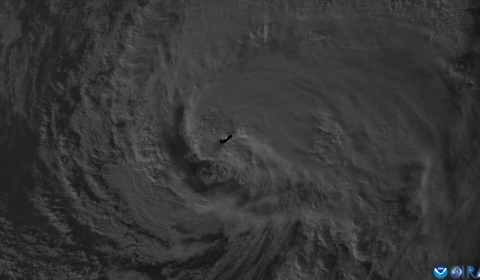 Hurricane  Ernesto seen from space