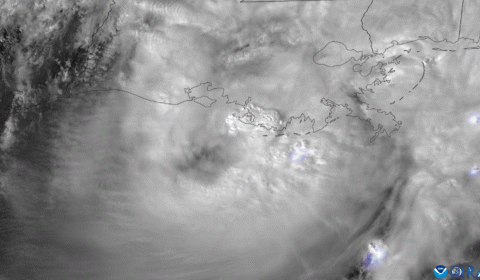 Hurricane Francine seen from space