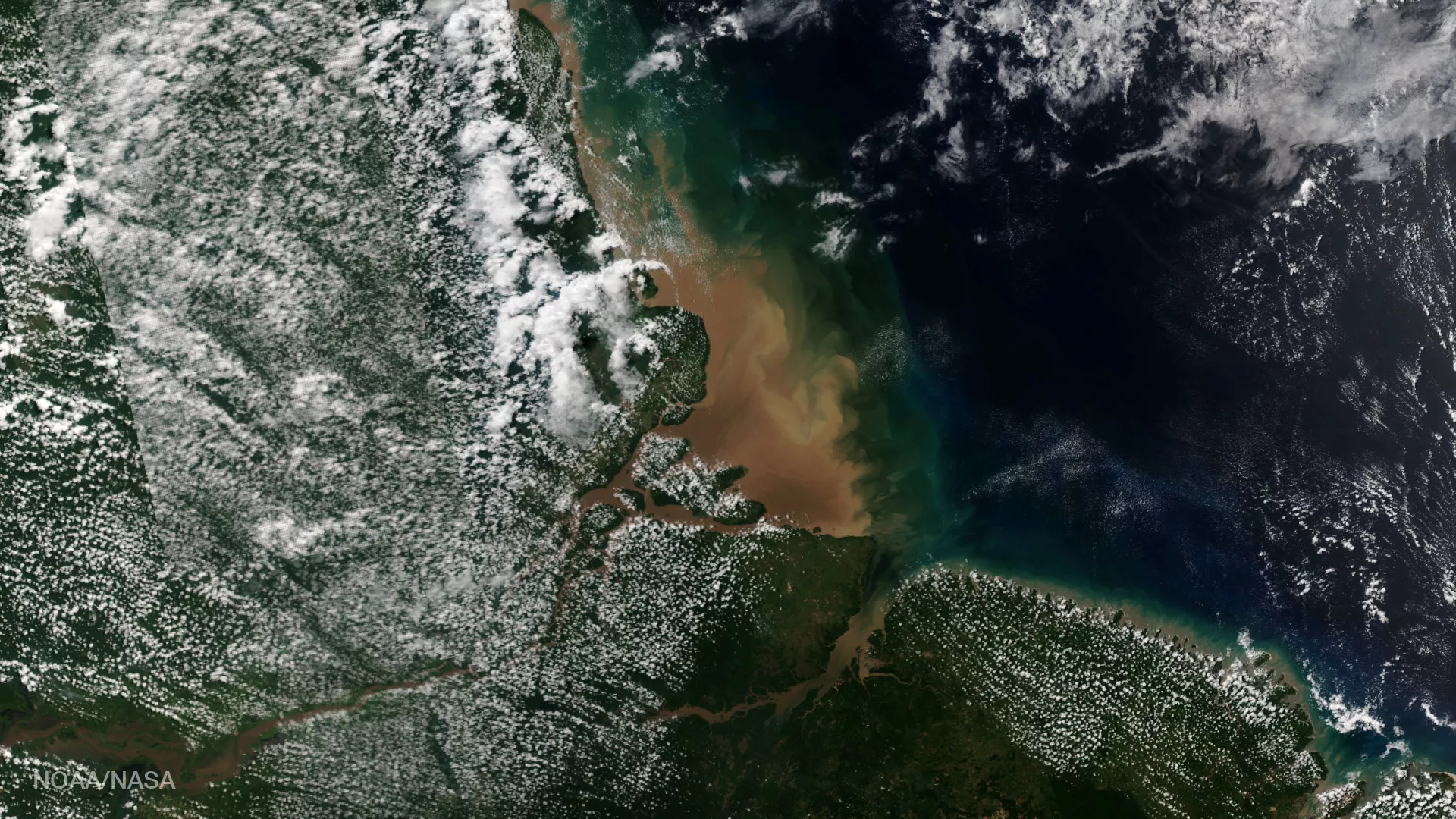 True-color image of the sediment-rich fresh water of the Amazon 