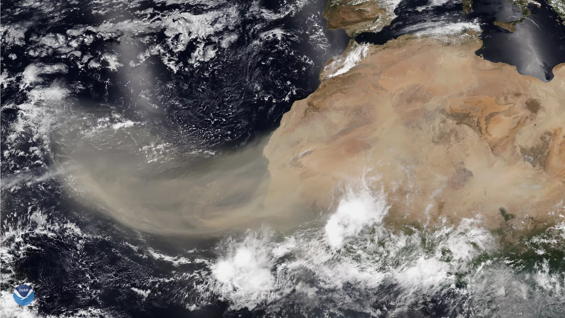 Image of the saharan desert