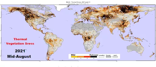 Image of the globe