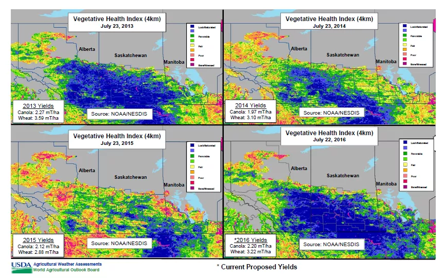 The charts above show that this year’s yield of Canada wheat and canola are similar in appearance to the record 2013 season. Credit: USDA