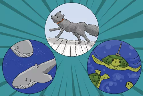 Drawings of animals for a comic book.