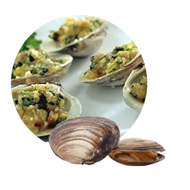 Cooked food portions and clam shells.