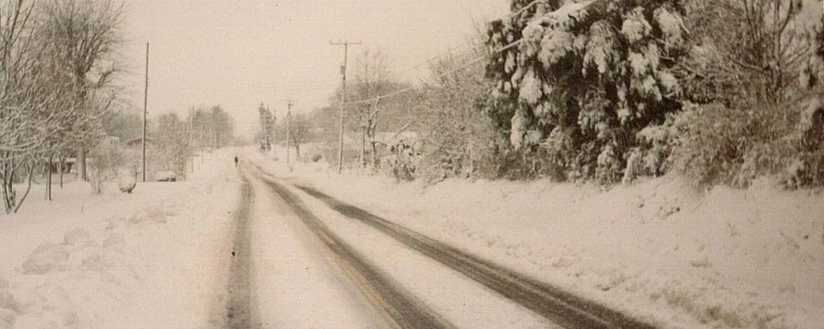 image of deep slow along a road