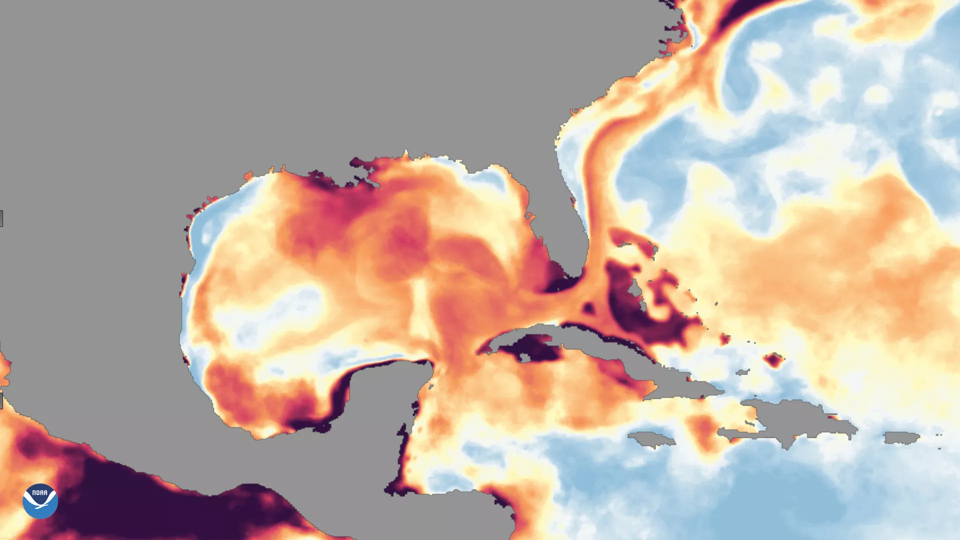 Image of gulf of mexico