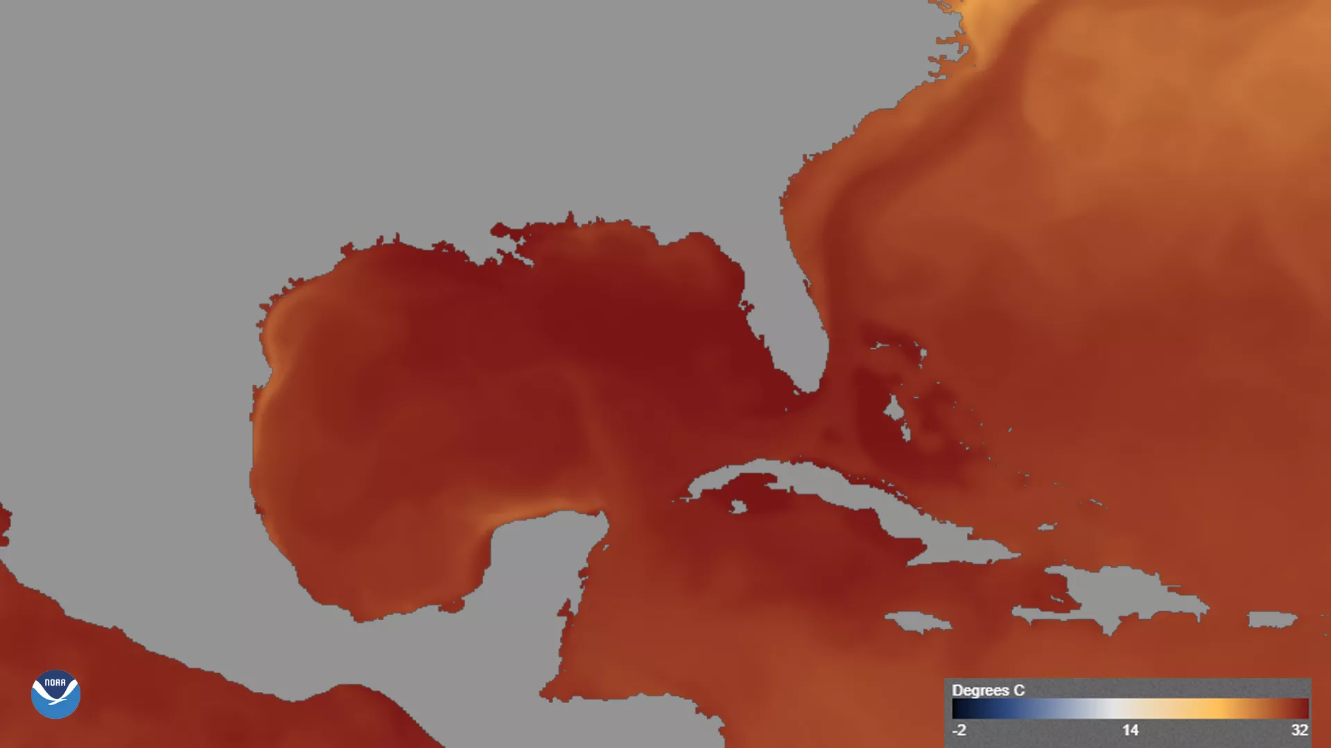 Image of sea surface temperature