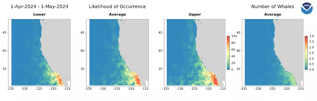 An infographic of four images that shows where a collection of whales are in space.