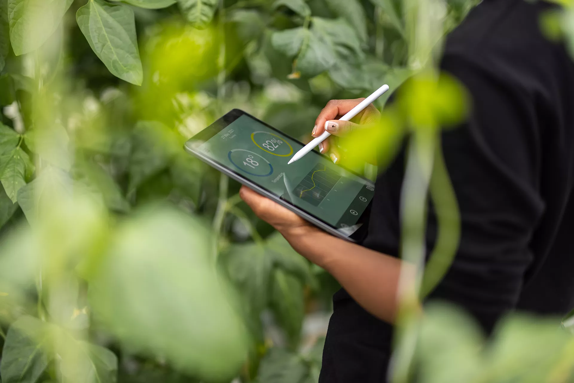 A farmer stands in a field of crops, holding a digital tablet and stylus.