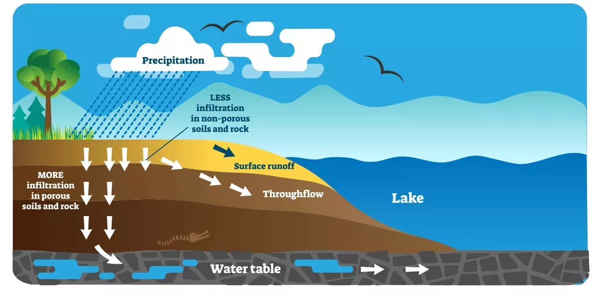 Diagram of a cross section of land from with different layers of soil at the water edge. Annotations and labels of arrows and words.
