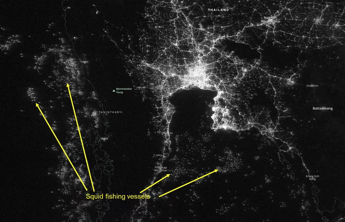 Satellite image of an ocean area at nightime, with visible areas of city lights and labels pointing to where squid fishing vessels appear lit up in the dark ocean areas.