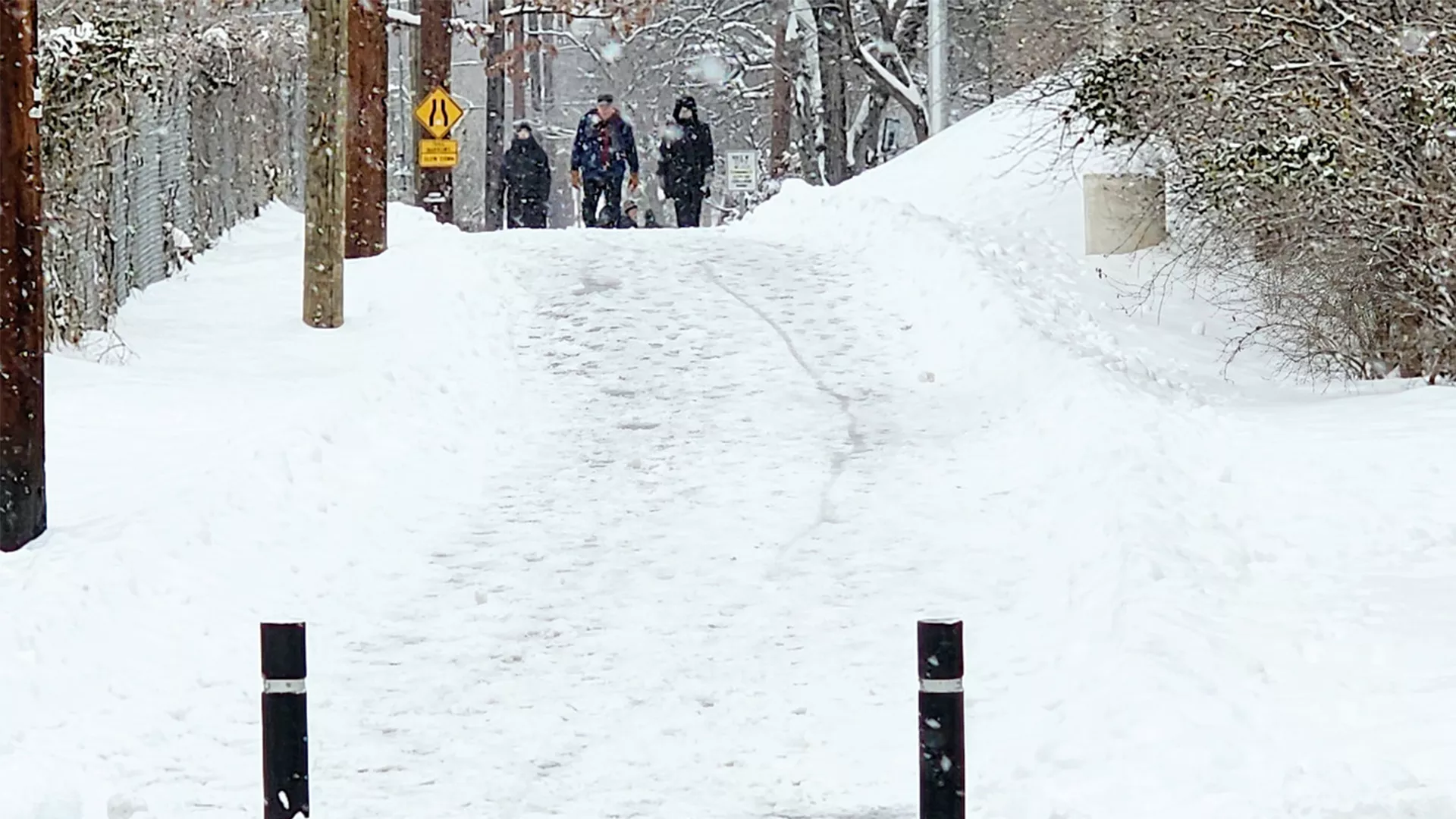 A group of people walking along a snowy path in the forest.