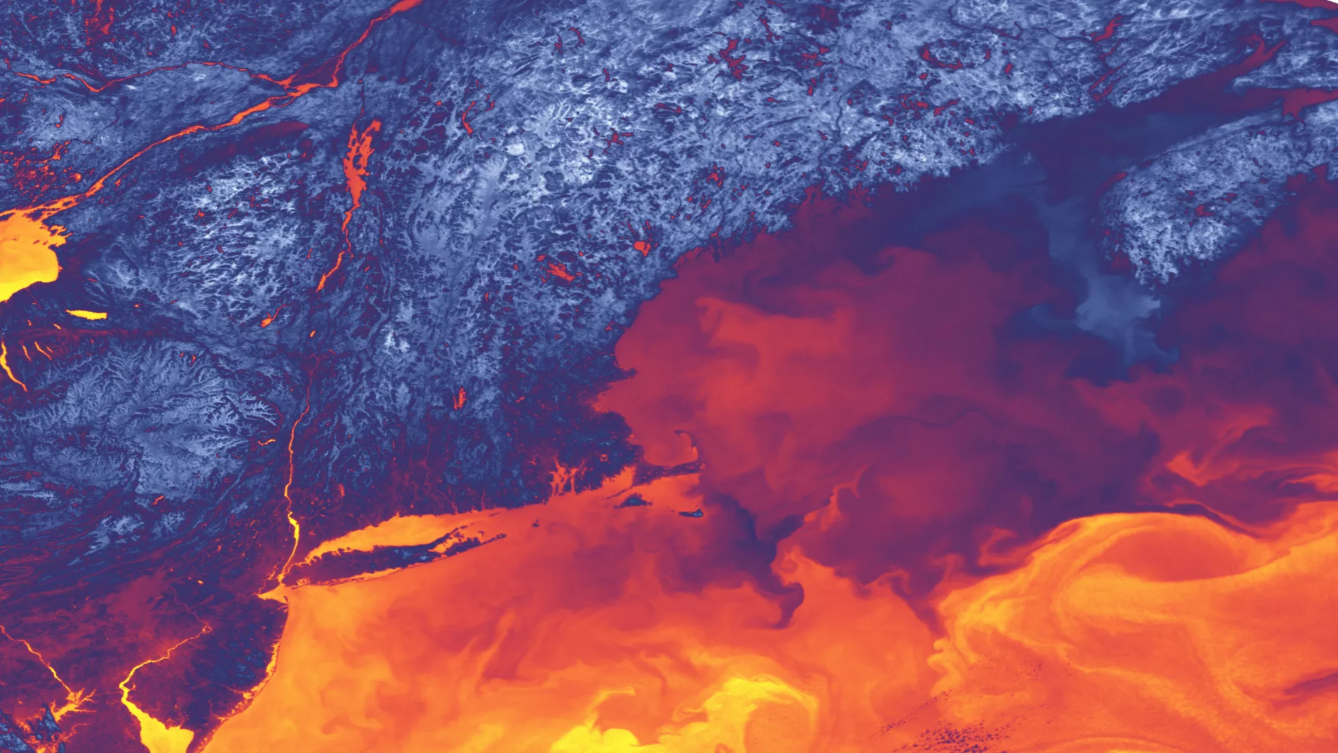 Image of sea surface temperature