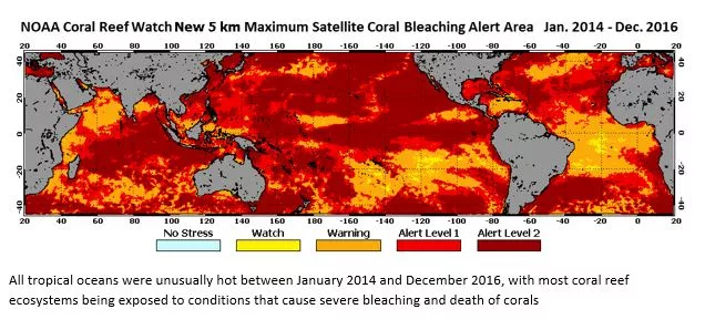 Image of ocean temperatures around corals in the sea.