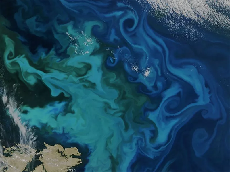 VIIRS imagery of algae bloom near the Faroe Islands, Denmark, circa  2015. 