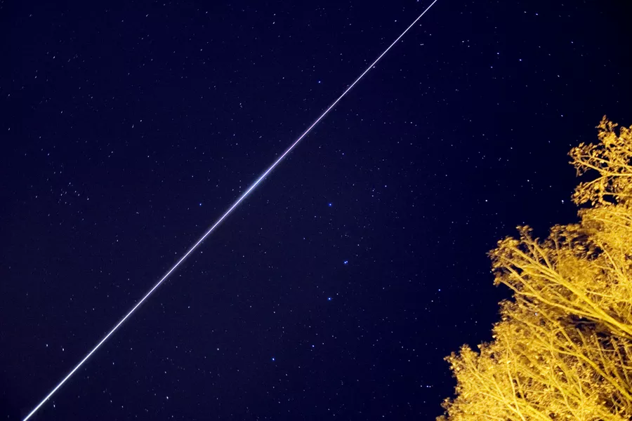 An image of the night sky with the top of a tree in the lower right corner; on the left, a bright white streak crosses the night sky
